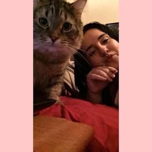 Meet your Posher, Dora